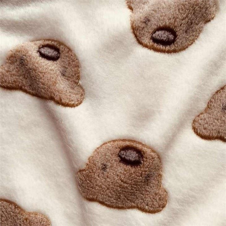 Flannel Plush Fabric