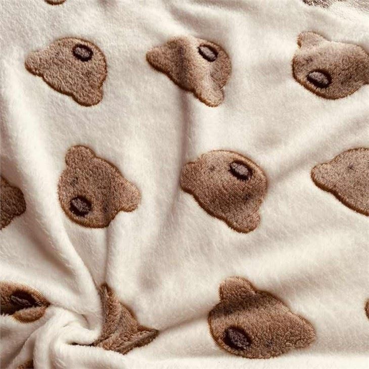 Flannel Plush Fabric